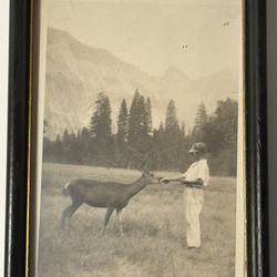 Vintage Framed Man Feeding Wild Deer Art Deco