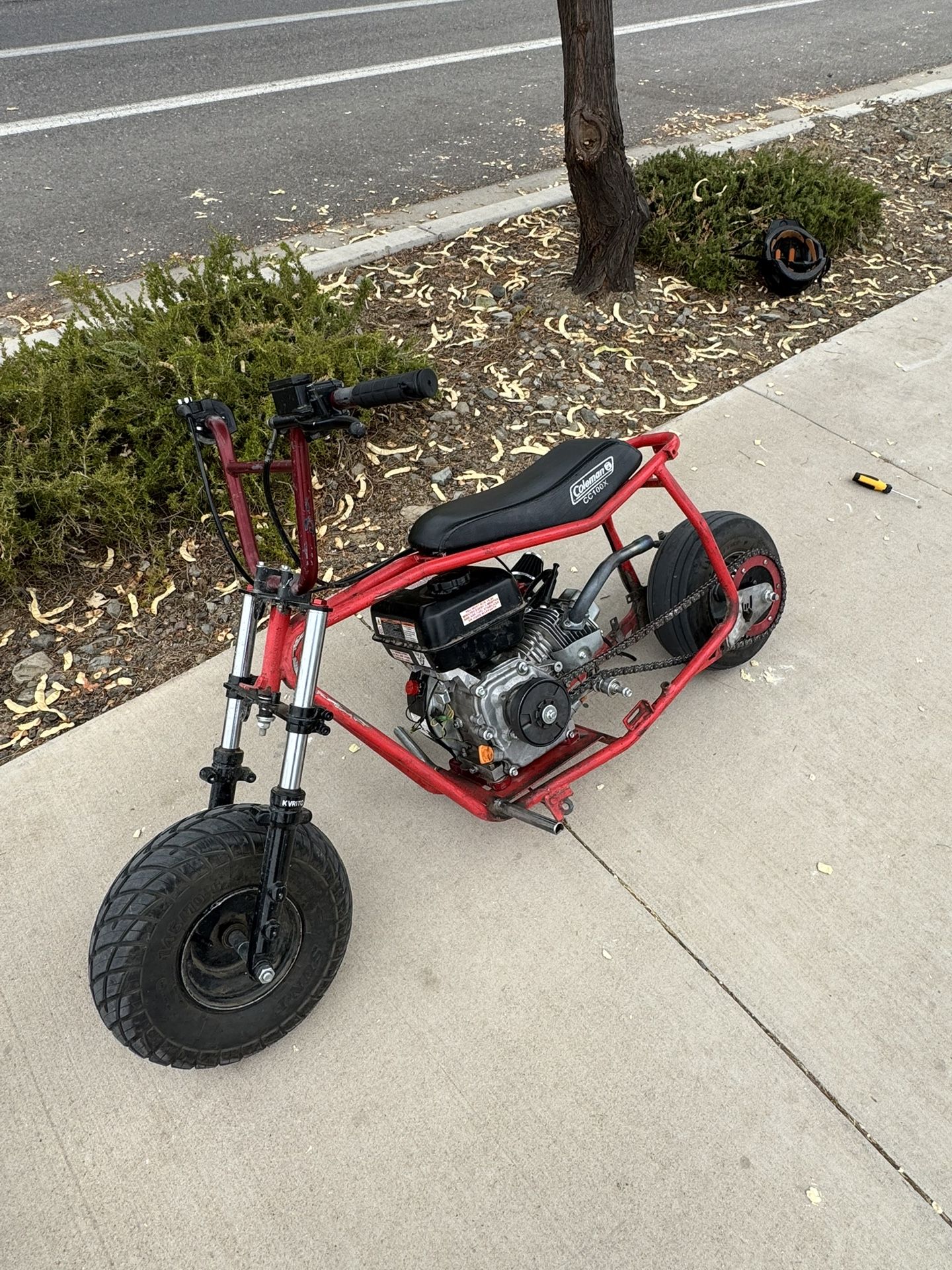 stretched baja doodle bug