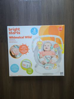 Baby Bouncer