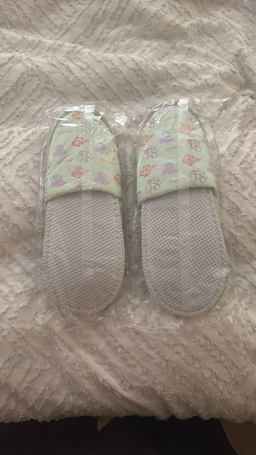 Tokyo Disney Fantasy Springs Slippers