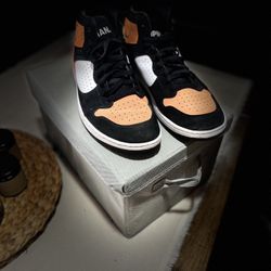 Jordan Access Shattered Backboard 