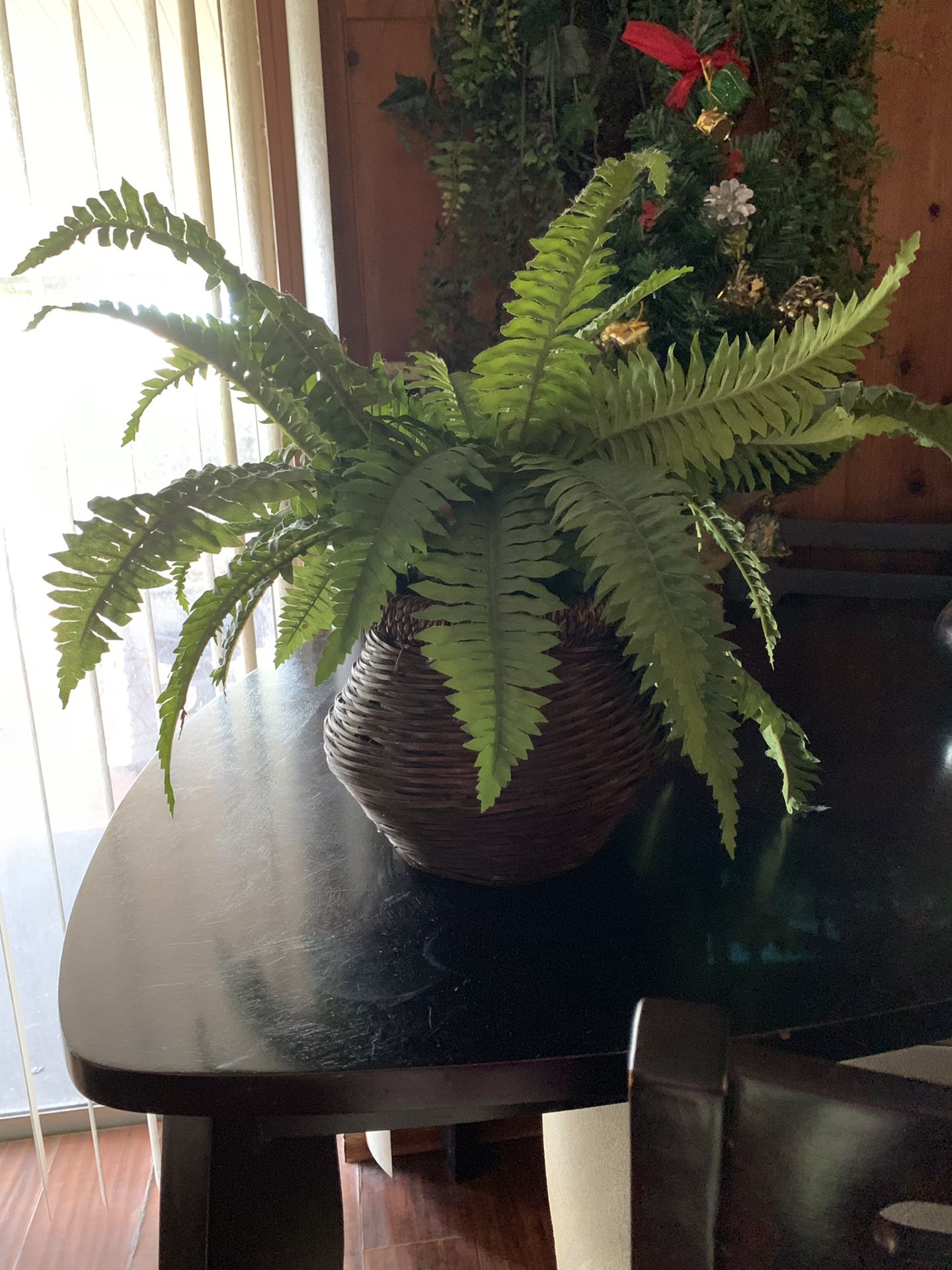 Fake fern plant in wicker pot