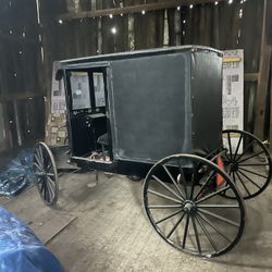 Amish Horse Buggy