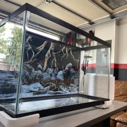 29 gallon aquarium tank