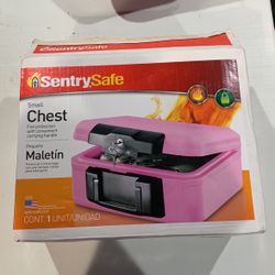 Fireproof Sentry Safe 