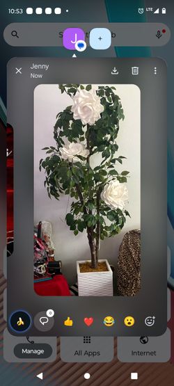 Beautiful Tall Tree $65