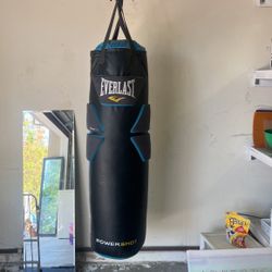 Everlast Powershot Youth Punching Bag