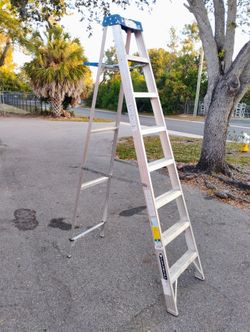 Louisville 10 Ft Aluminum Ladder