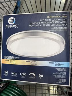 Energetic Lighting LED FLUSH MOUNT