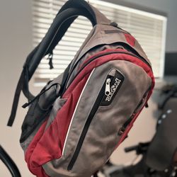 Jansport Agave Backpack 