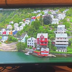 Dell S2721DGF 27” 165Hz 1440p IPS Gaming Monitor – Excellent