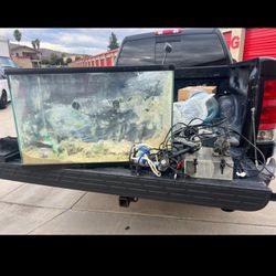 Salt Water Fish Tank