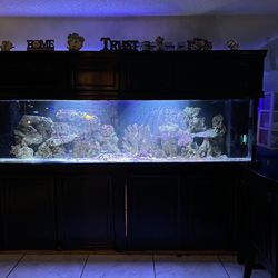 200 Gal Fish Aquarium 