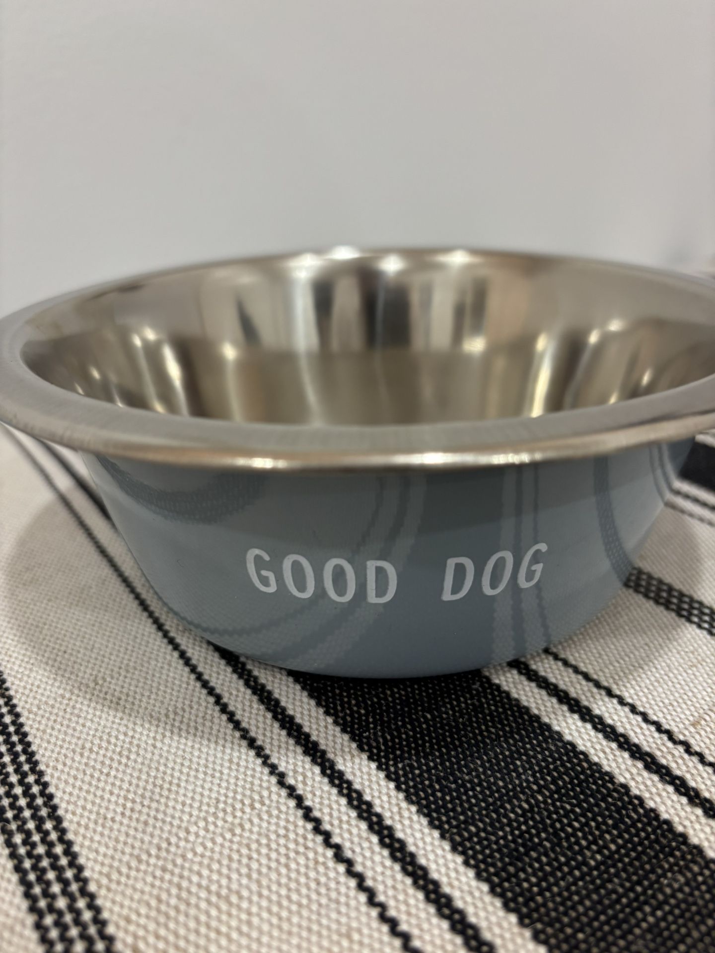 Dog Bowl