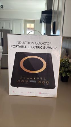 Portable Electric Burner