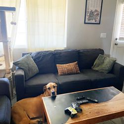 Couch Set