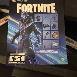 Ps5 Fortnite Code Bundle 