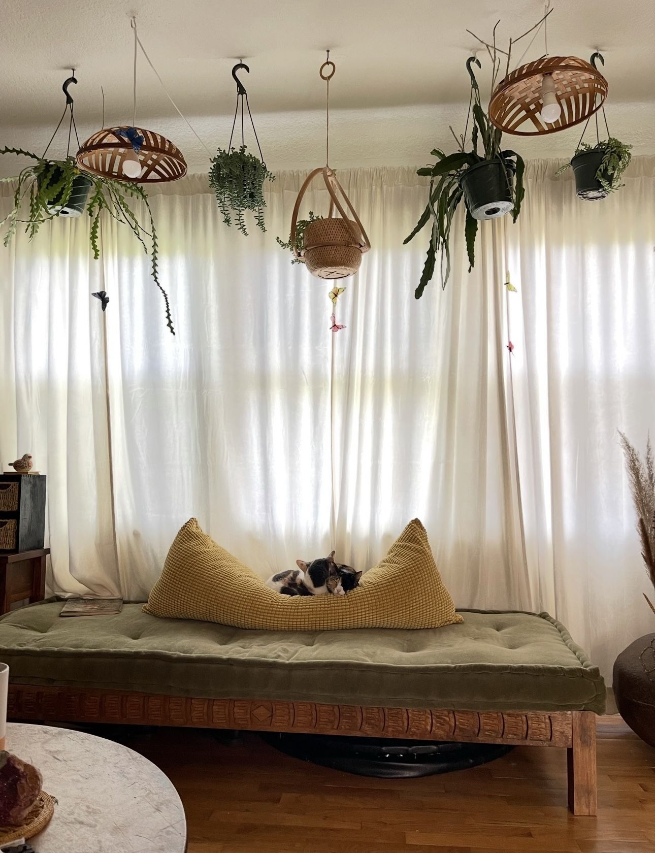 Velvet Curtains