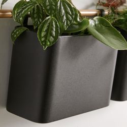 Urban Outfitters Wall Planter
