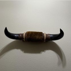 Vintage Mounted Steer Bull Cattle Horns