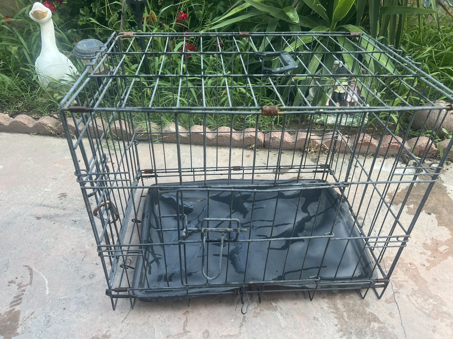 Animal Cage , 23” Length X 17 “ Width
