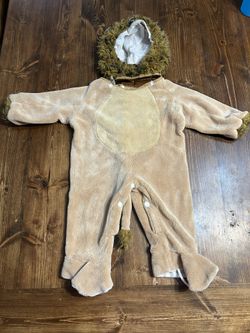 Lion Costume