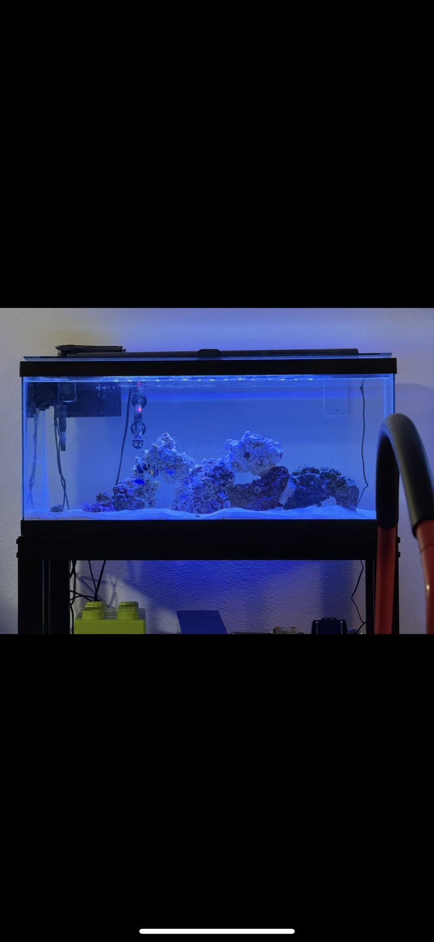 40 Gal Fish Tank