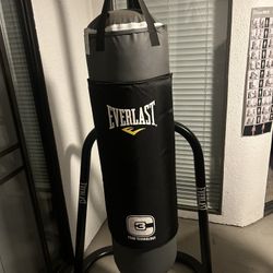 Everlast Punching Bag