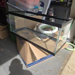 Hamster Starter Kit! 