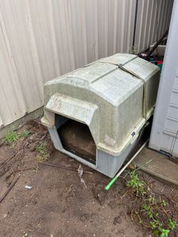 Large dog house