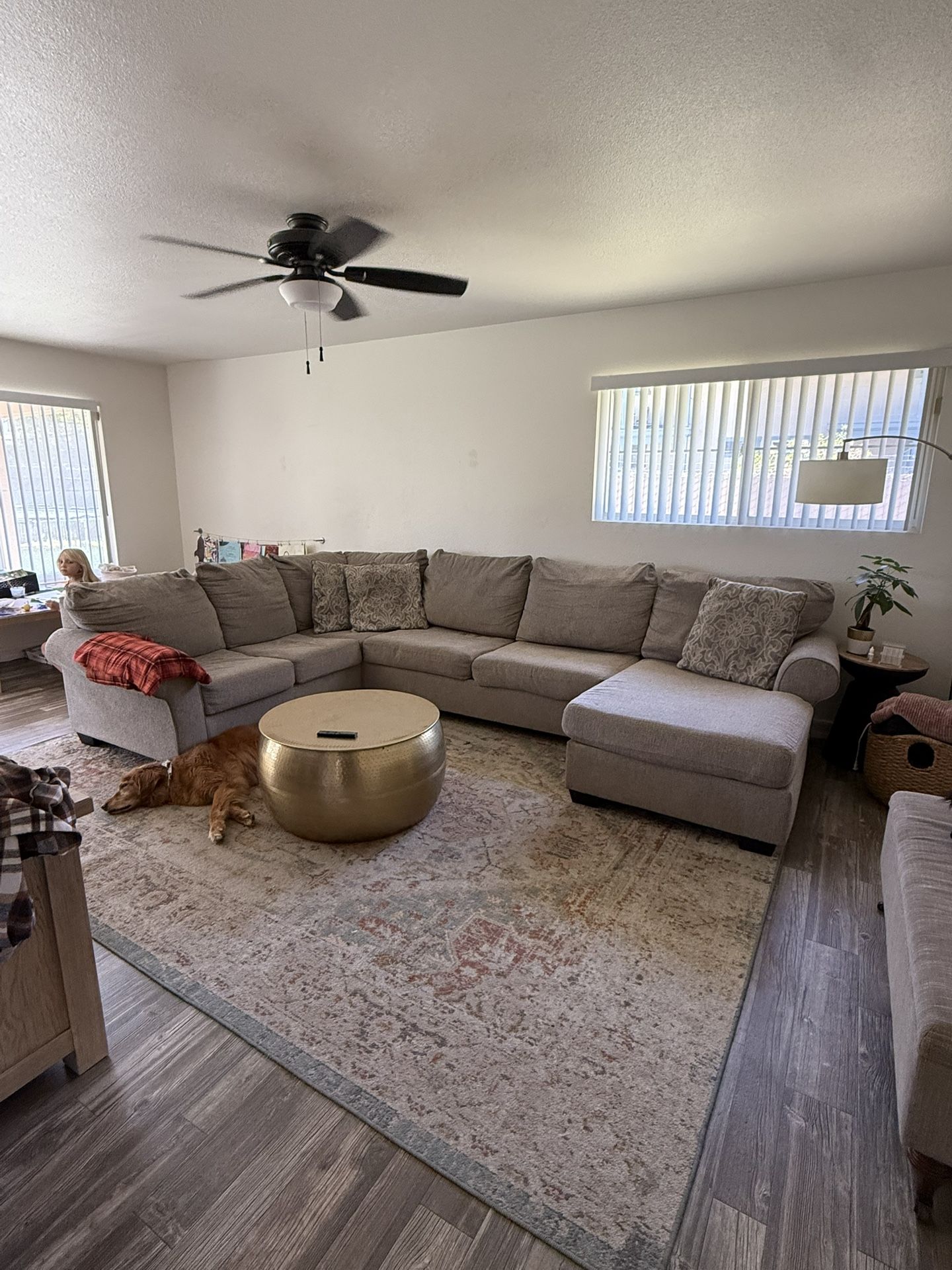 Sectional Couch
