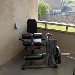 Leg Extension / Leg Curl Machine – Plate Loaded – Home Gym