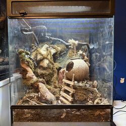 Vivarium/ Reptile tank with accessories