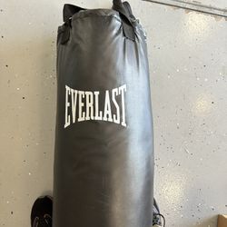 Everlast Punching Bag 