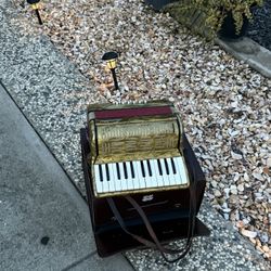 Gorgeous 🥰 Button, Italian Accordion 🪗 