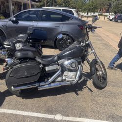 2009 Harley Dyna street Bob