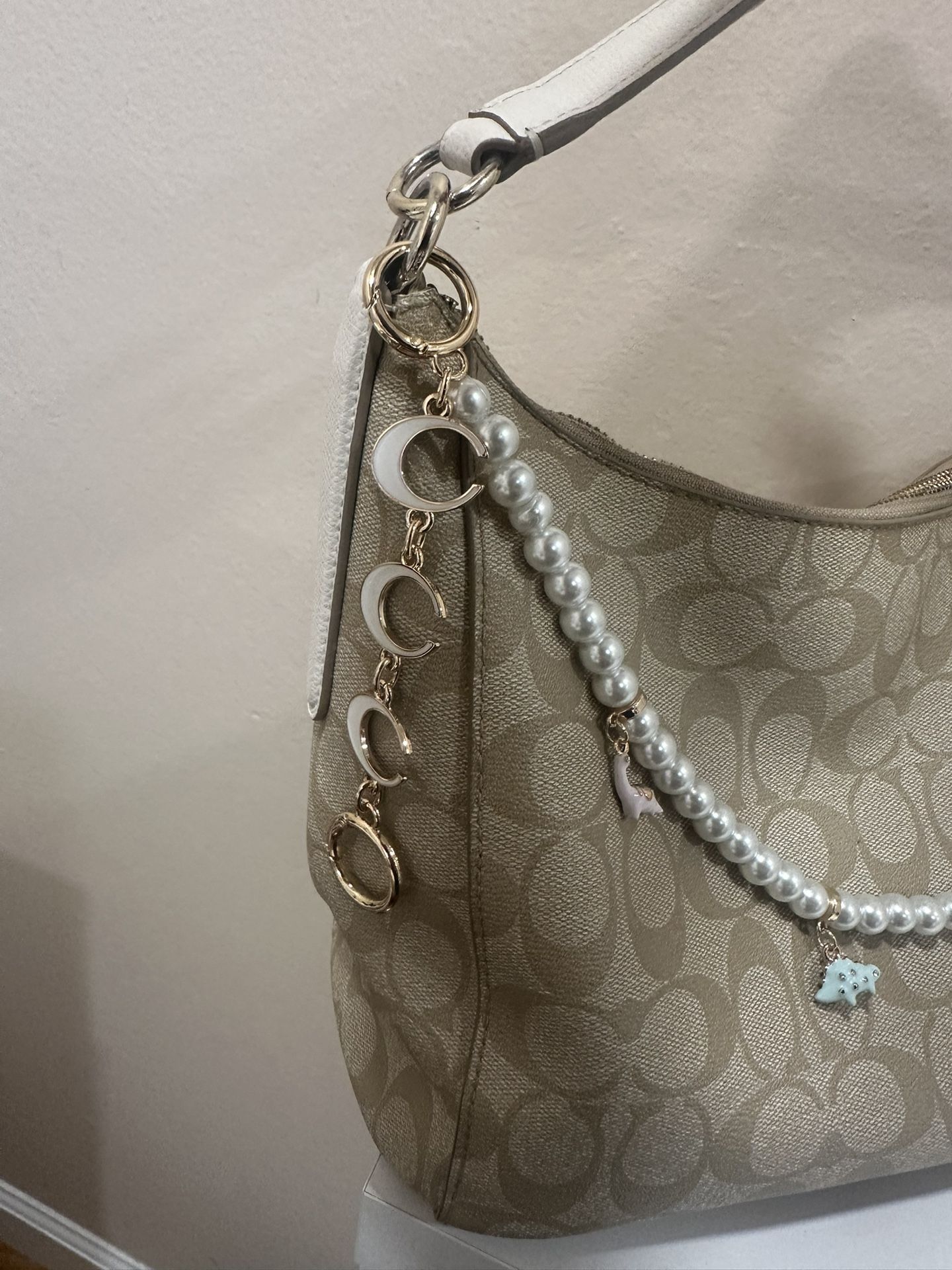 Bag With Charms