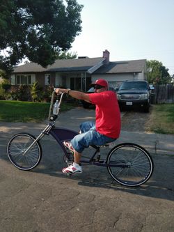 Sacramento kings stretched cruiser