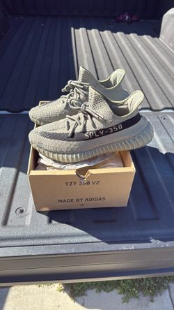 Yeezy 350
