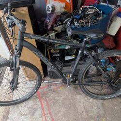 Adult Trek Bike