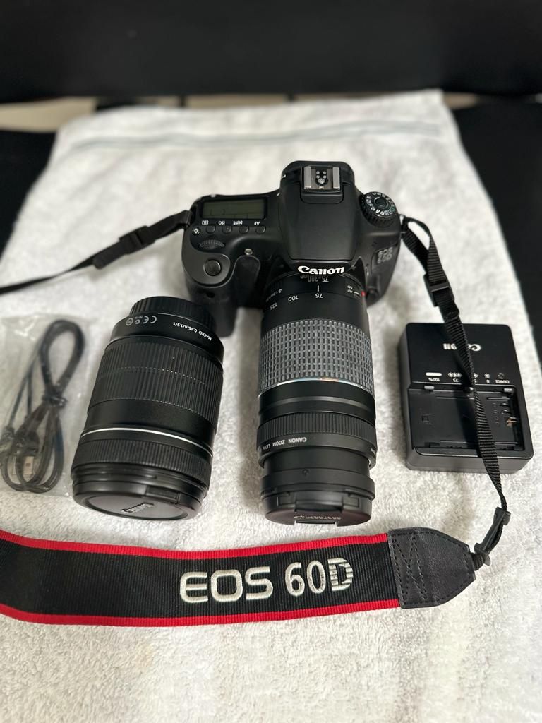 CANON EOS 60D professional camera