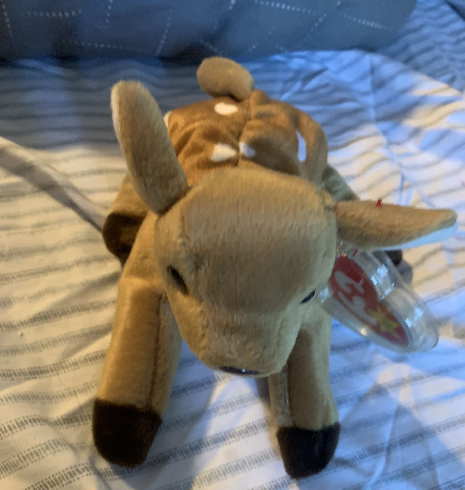agdeals agdeals Updated Apr 20 Ty Beanie Baby – Whisper the Deer – WITH ERRORS – 1997 - Rare & Retired