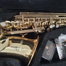 New Saxophone Complete With All Accessories 