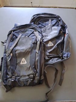 JSERYISGN Backpacks – Set of Two