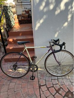 Centurion Dave Scott Master Road Bike