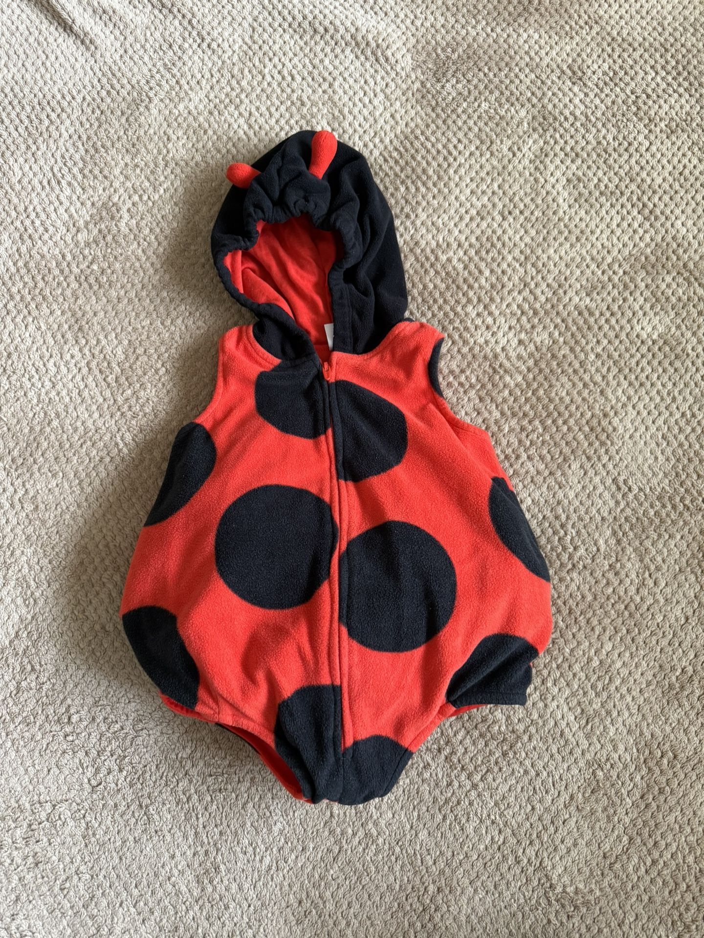Lady Bug Costume 12 Months