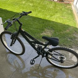 NEXT Mountain Bike 