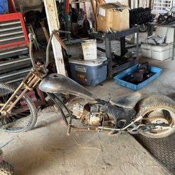Panther Mini Bike 