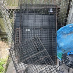 Cage Kennels For Sale And Brand New Dog Clothing 