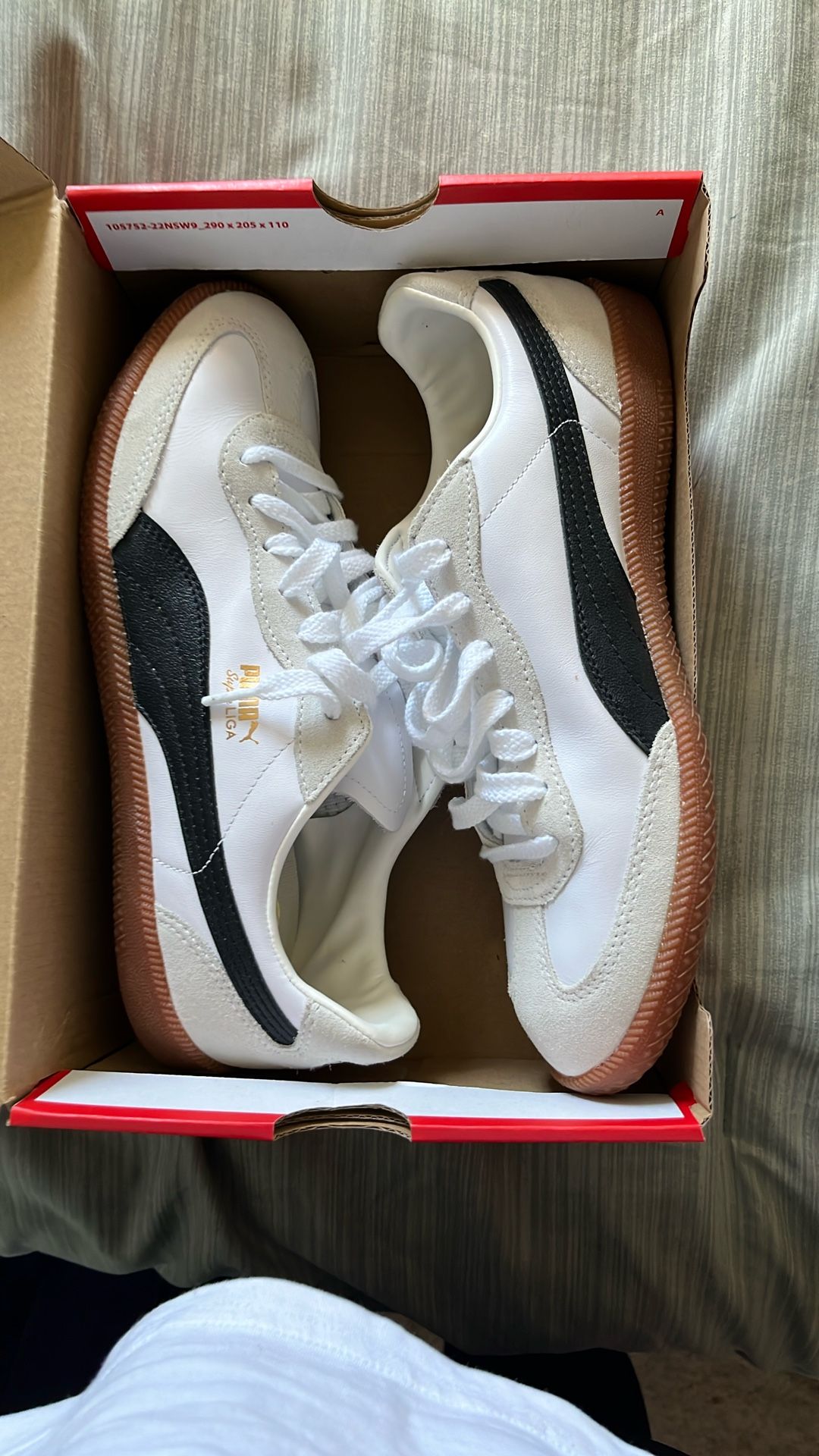 Pumas